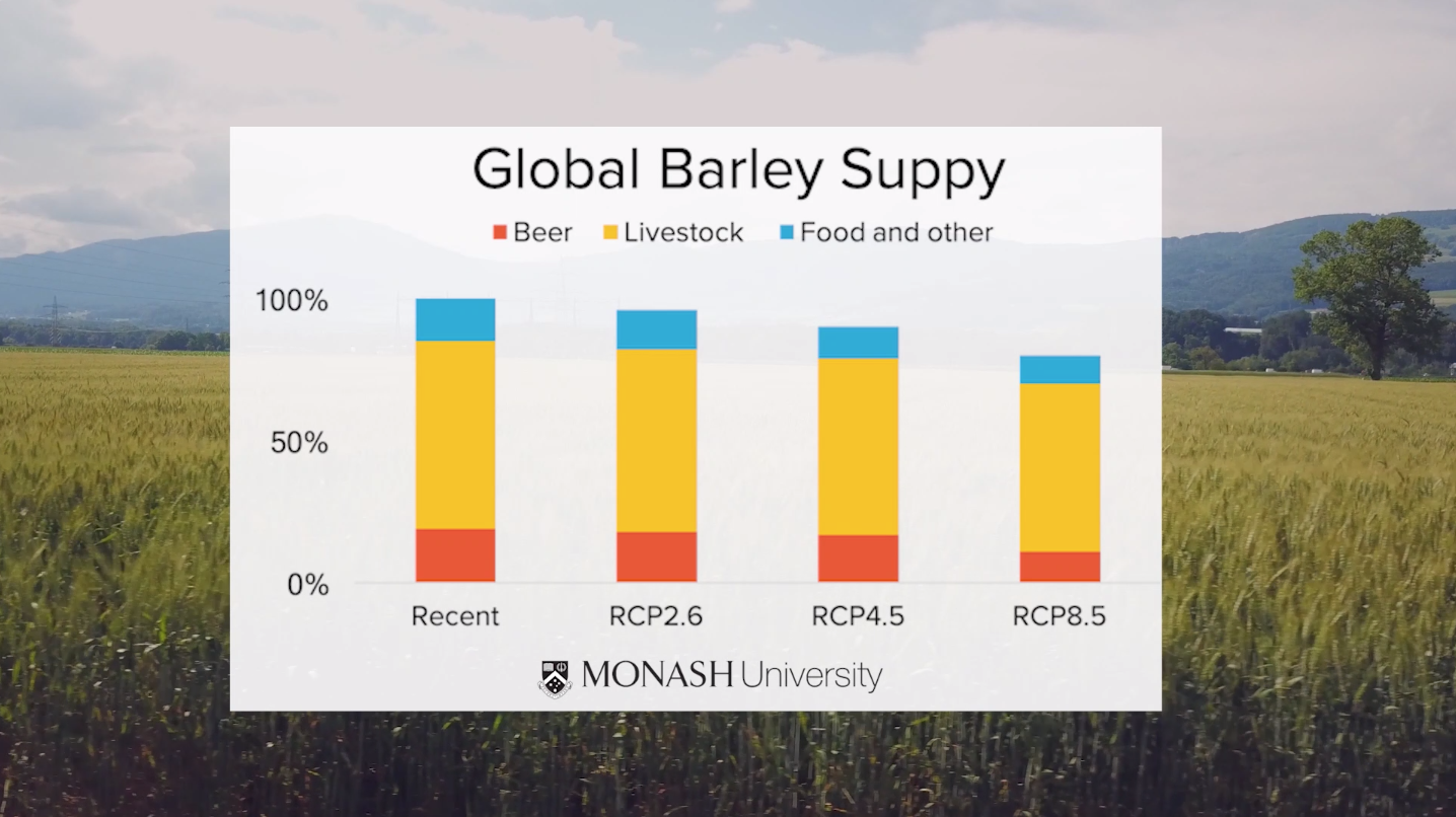 Beer and climate change